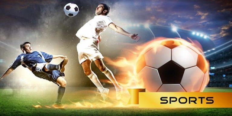 8BETS Descubra o vibrante mundo dos esportes online em